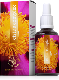 Cistus-Complex-WebRes